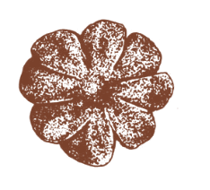 Historic engraved floral rosette