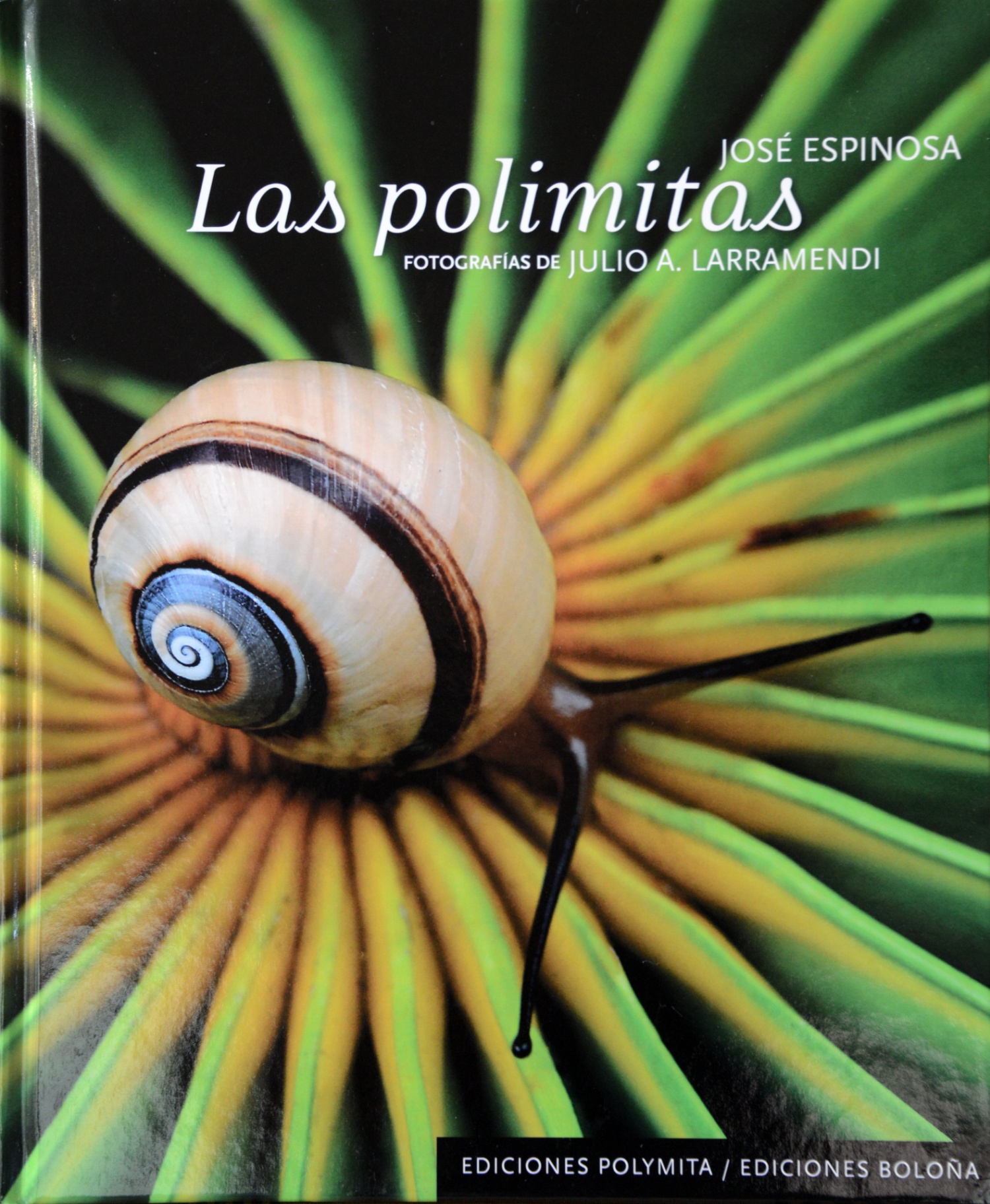 Portada · Las polimitas