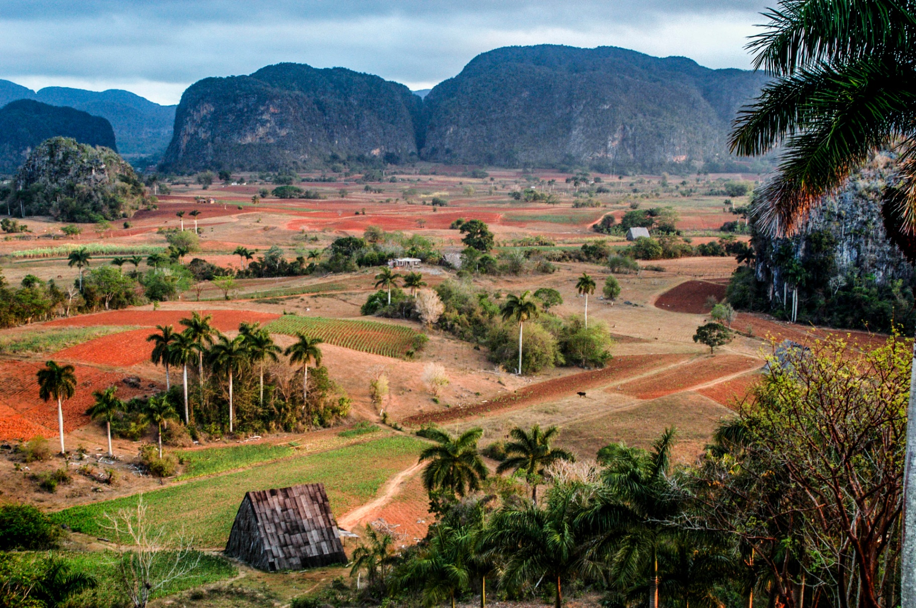 Valle de Viñales con mogotes y campos de cultivo
