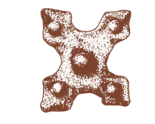 Historic pierced square iron fitting