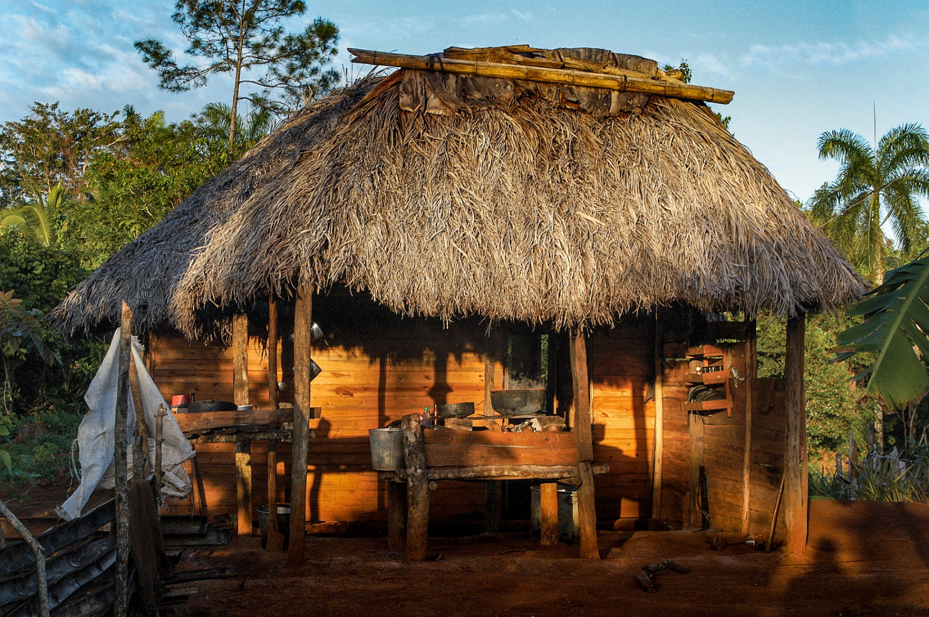 Bohío de techo de guano en el campo cubano